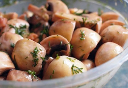 Салат з солоними грибами: різні рецепти