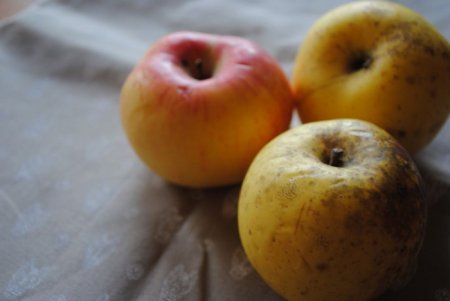 Як приготувати яблучне повидло? Простий рецепт
