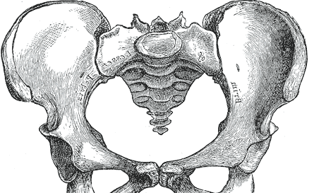 Болі лобкової кістки при вагітності: лікувати або почекати?