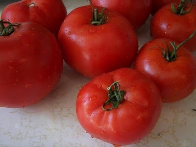 Помідори "санька": скоростиглі томати з чудовим смаком