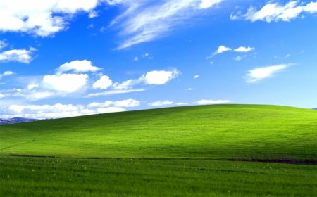  Windows XP  ""