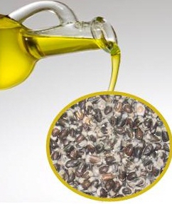 Як використовувати бавовняне масло в побуті? Корисні і шкідливі властивості харчової сировини