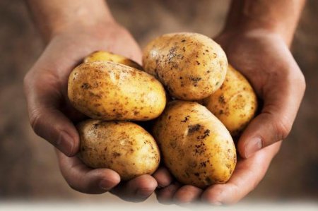 Скільки калорій в картоплі фрі, картопля в мундирі, в картоплі з грибами, картоплі з м'ясом?