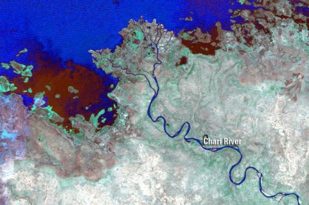 Річка Шарі: опис та фото