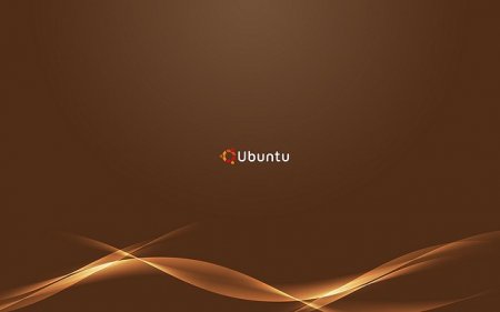  1010:   Ubuntu