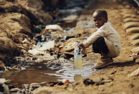 Основні екологічні проблеми Африки
