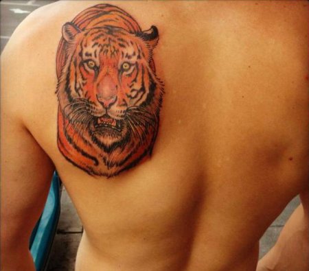 Татуювання тигрів: стародавні повір'я та сучасні ескізи