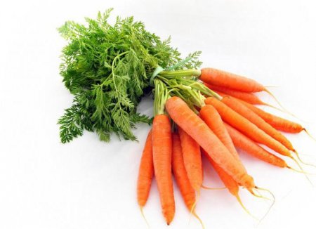 Загадки про морквину для дітей. Ідеї, як зайняти дитини (для дорослих)