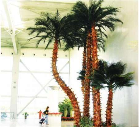 Штучна пальма - південна рослина, яке ніколи не зів'яне
