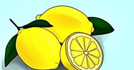 Кориця і лимон: виявлено сенсаційний засіб
