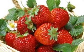 Варення з вікторії, що може бути смачніше