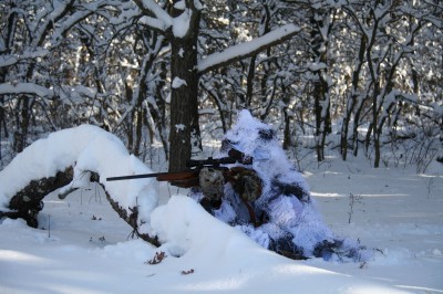 Полювання на вовка. Способи полювання на вовків Полювання на вовка. Способи полювання на вовків