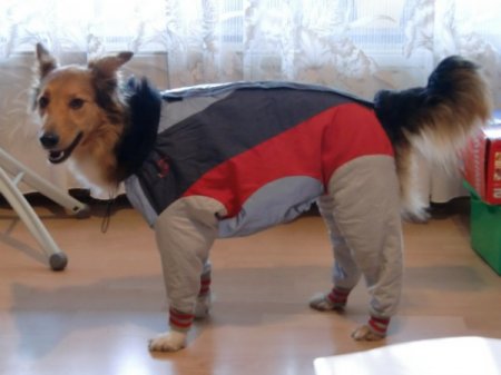     .   