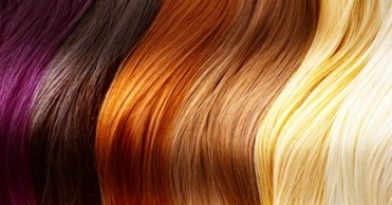 Wella color touch.   