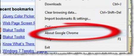   Google Chrome   