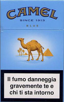 CAMEL -    