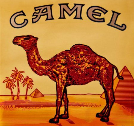 CAMEL -    