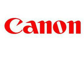 Canon 600D:  ,    