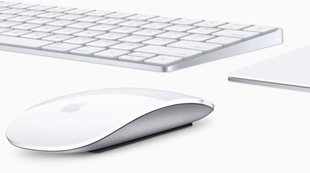  Apple Magic Mouse: .    Apple Magic Mouse?