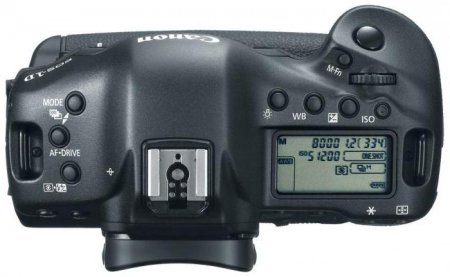 Canon 1DX:    .    