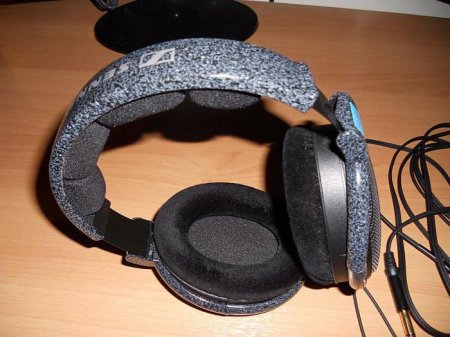  Sennheiser HD 600: , .   ? Sennheiser HD 600  650:  ?