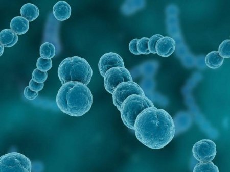 Інфекційні захворювання: список, симптоми, лікування, профілактика