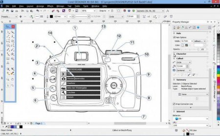  CorelDraw     