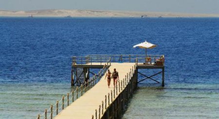 , --,  4* Rehana Sharm Resort:    