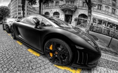  ҳ:   .  Lamborghini Aventador Mansory
