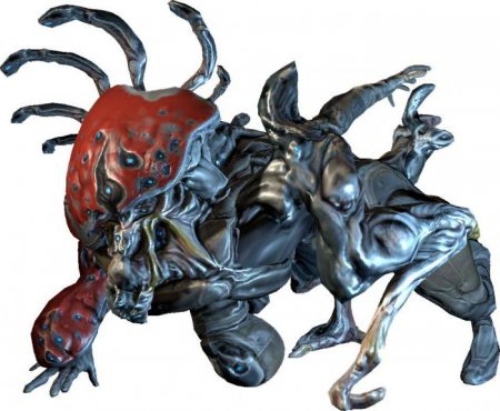    Warframe  ?