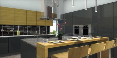    : SketchUp, PRO100 KitchenDraw.  