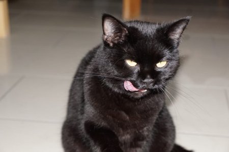  :  , , ,  ,  
